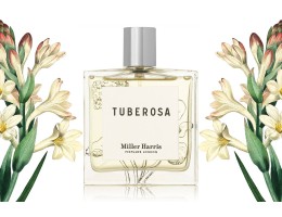 عطر ميلير هاريس Tuberosa Miller Harris او دى بارفيوم